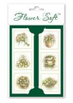 Flower Soft Kartenaufleger-Einfhrungsset