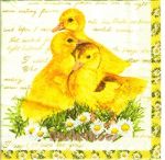 Little ducks yellow