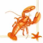 Lobster white