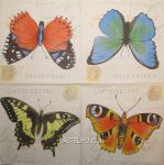 Butterfly cards 1/1