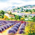 Lavender fields AMB